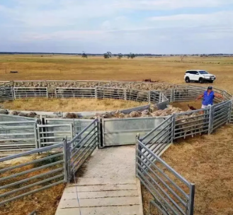 Modern livestock farming places increasing emphasis on efficiency, safety, and long-term cost control. For ranchers and farm owners, fencing is not a decorative element but a core facility that directly affects daily management