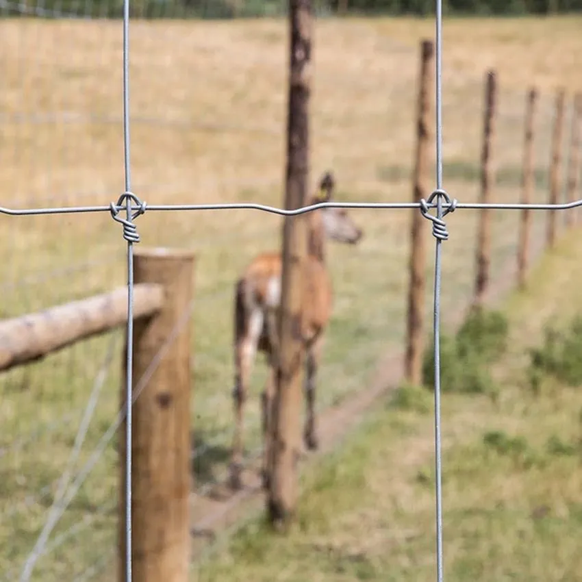 When it comes to securing your property, livestock, or garden, a field fence is an essential investment.
