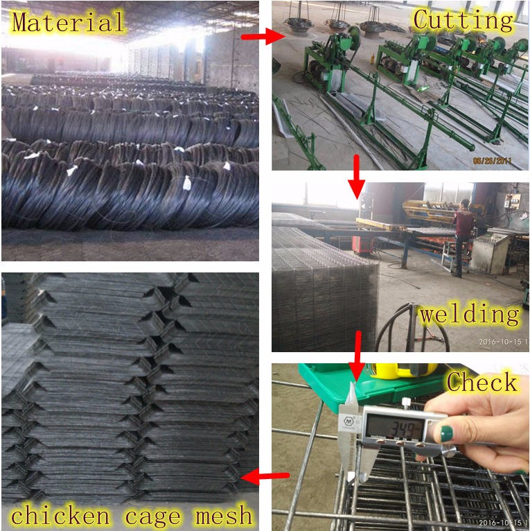 Poultry layer battery chicken cage for Nigeria Kenya South Africa Tanzania Uganda farm