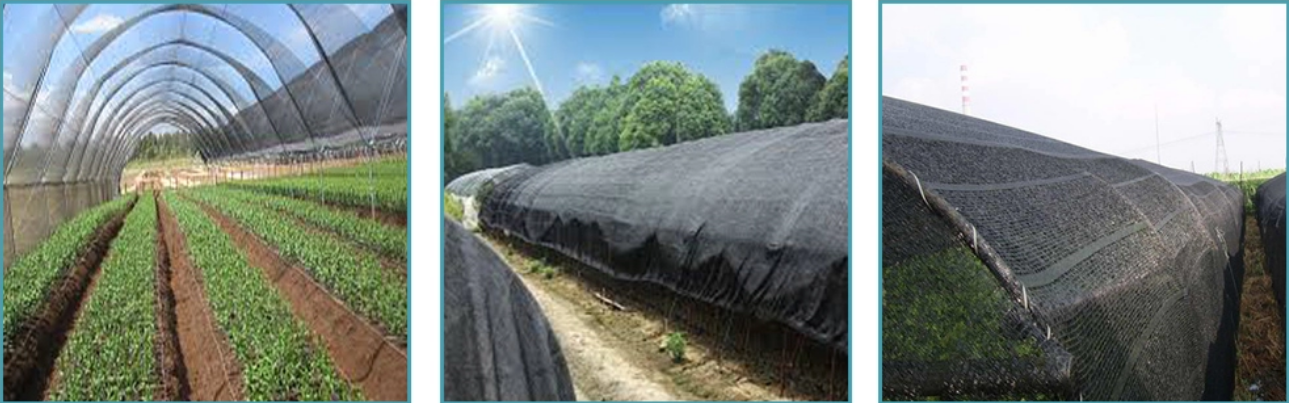 Read More About greenhouse netting
