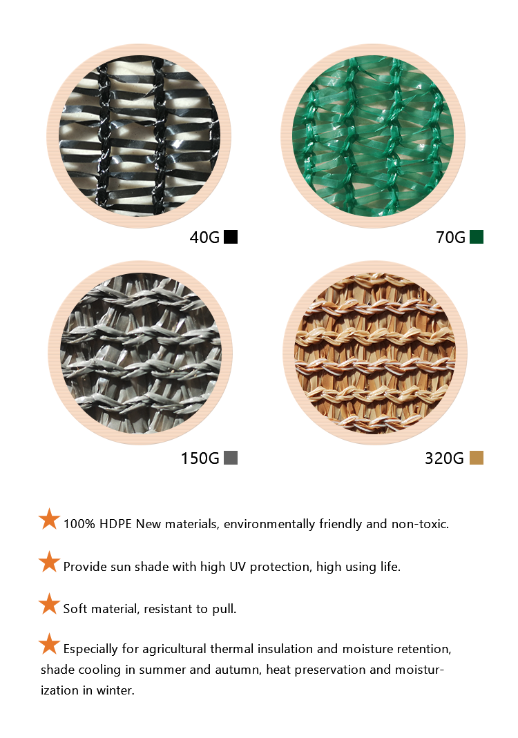 Read More About types of mesh wire fencing