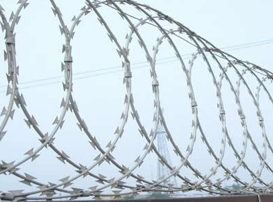 Read More About razor fencing wire for sale
