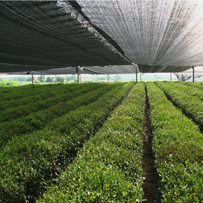 greenhouse shade netting Read More About greenhouse shade netting