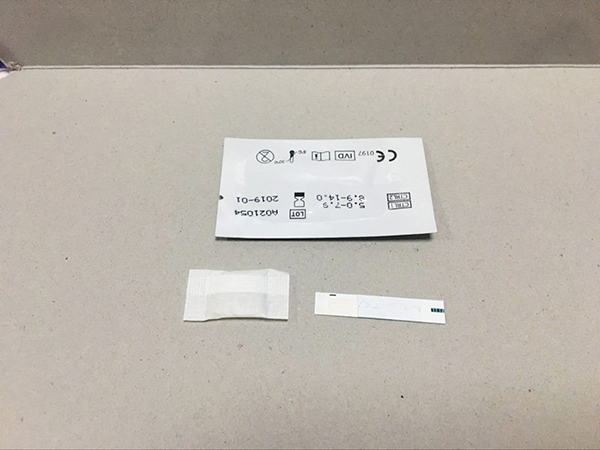 WT01 BLOOD GLUCOSE METER WT01 BLOOD GLUCOSE METER