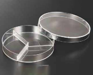 Petri Dish