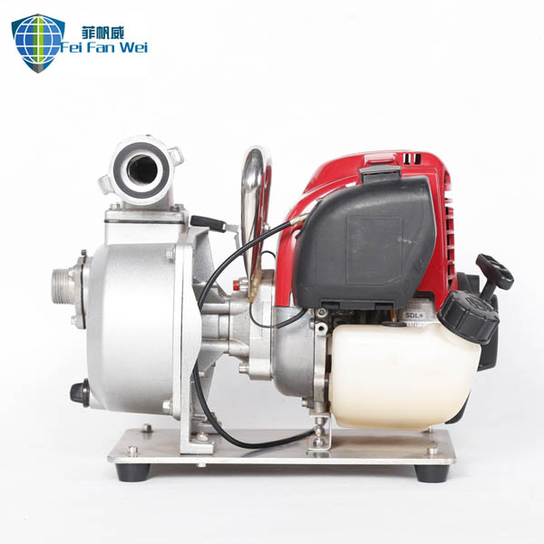 Mini Portable fire pump3