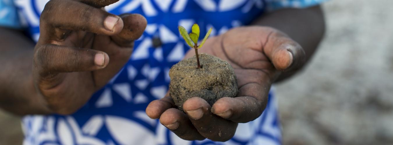 will_baxter_unep_forest-restoration
