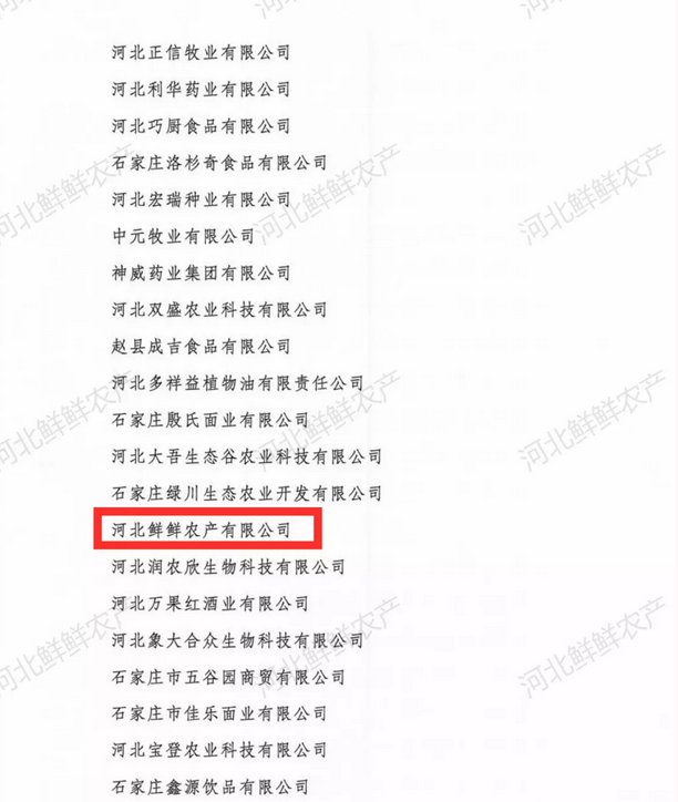 河北省龙头企业2