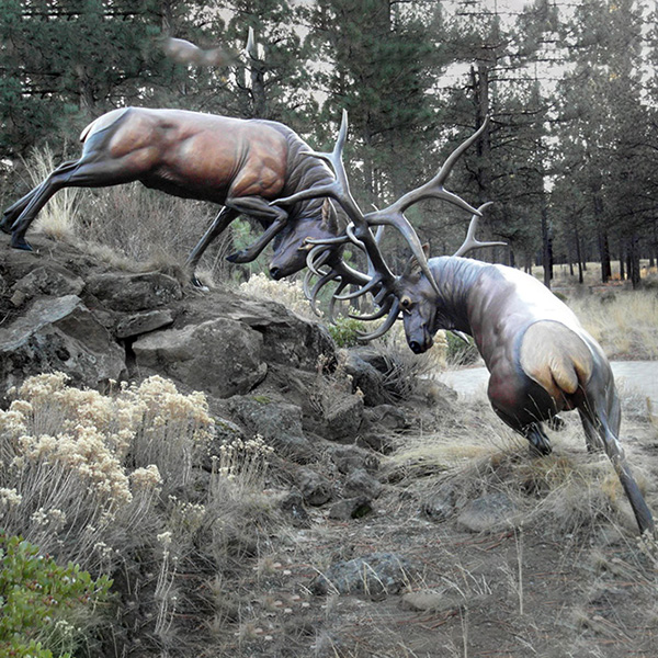 bronze deer d6