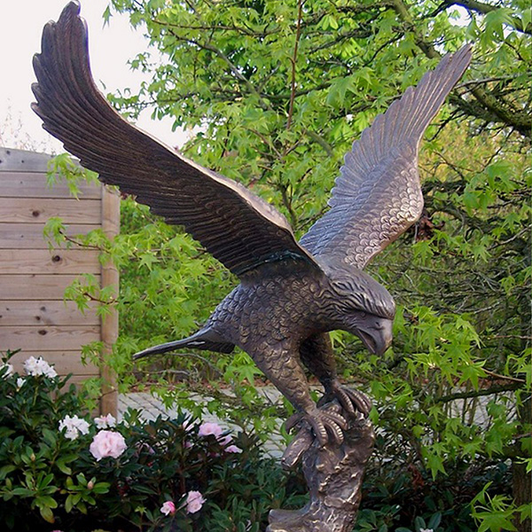 eagle pictures (4)