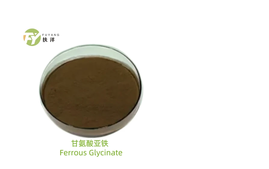 https://cdn.exportstart.com/images/a1386/0032-565.webp