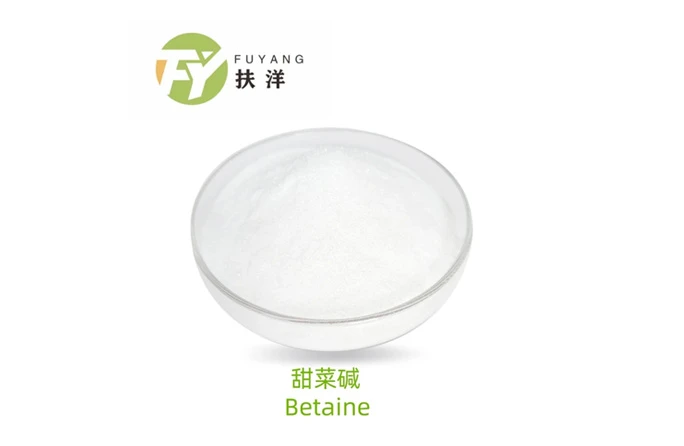 https://cdn.exportstart.com/images/a1386/333-546.webp