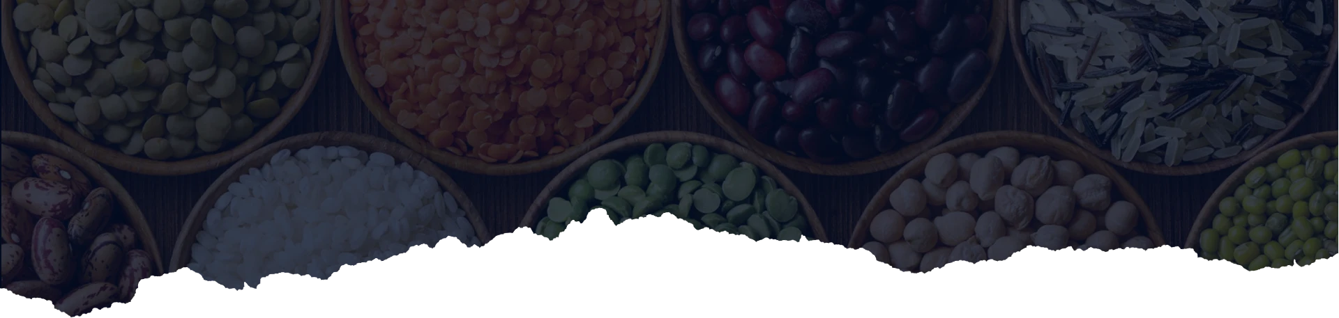 Overview of Sesame Production in 2024