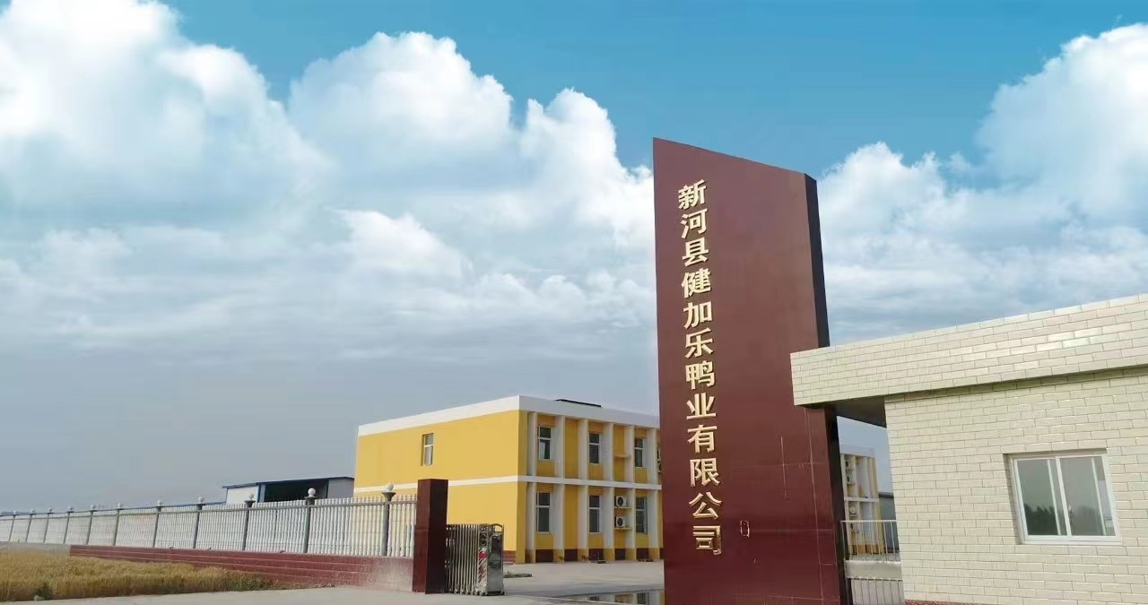 新河鸭业门