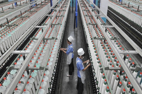 Ne 60/1 Combed Compact BCI Cotton Yarn Ne 60/1 Combed Compact BCI Cotton Yarn
