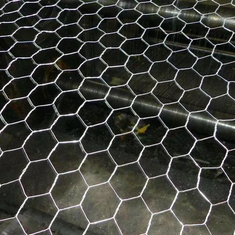 Weaving a harmonious web between nature and humans, do you know its secrets?