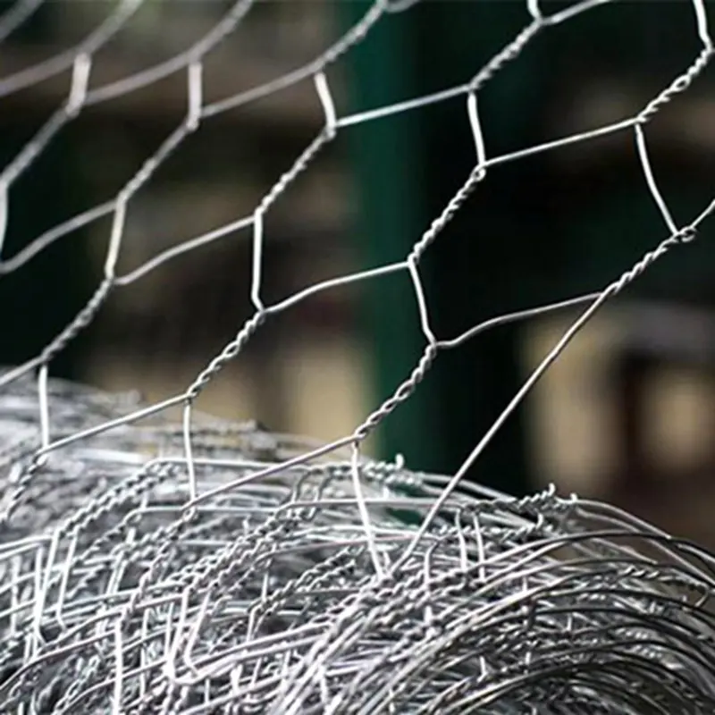 galvanized hexagonal/chicken wire mesh/ pvc coated hexagonal wire mesh