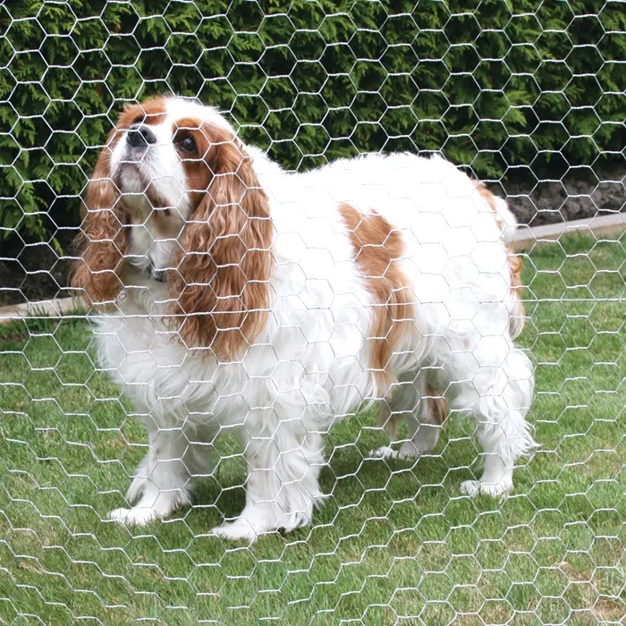 China supplier color custom galvanized wire pvc hexagonal mesh