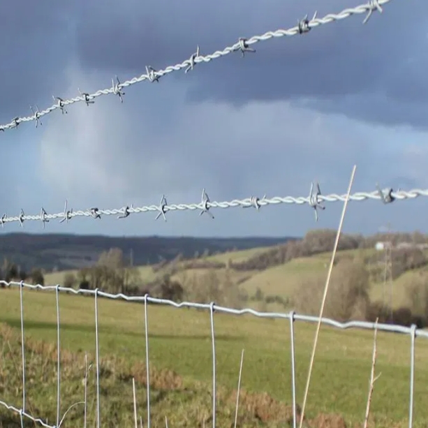 Analysis of barbed wire: materials and uses Analysis of barbed wire: materials and uses