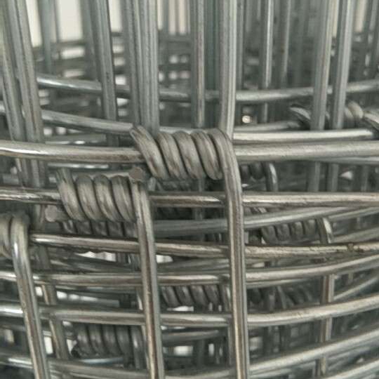 High Quality Hot Sell Fixed Knot Fence Cattle Wire Fence for farm