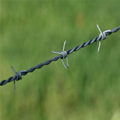 Do you know who invented barbed wire? Do you know who invented barbed wire?