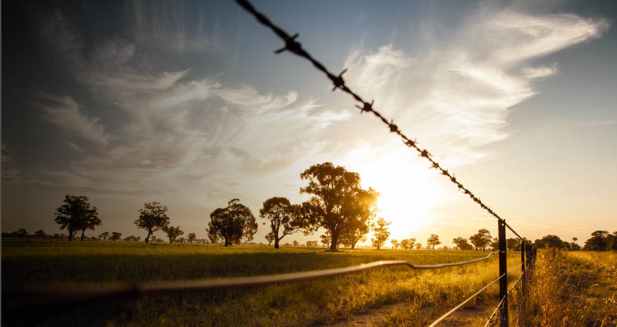 That’s how barbed wire was invented That’s how barbed wire was invented