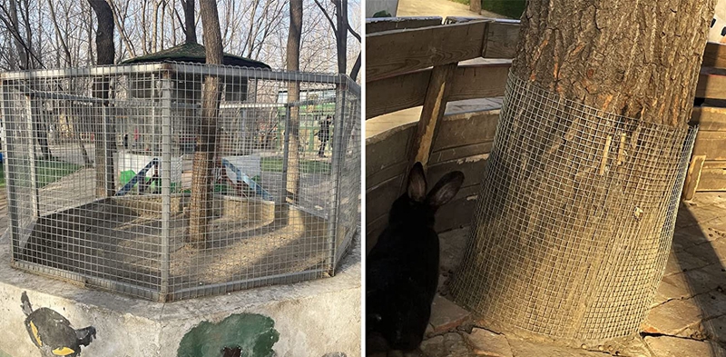 Galvanized Welded Wire Mesh Supplier Welded Wire Fence for Chicken Coop Animal Metal Cage