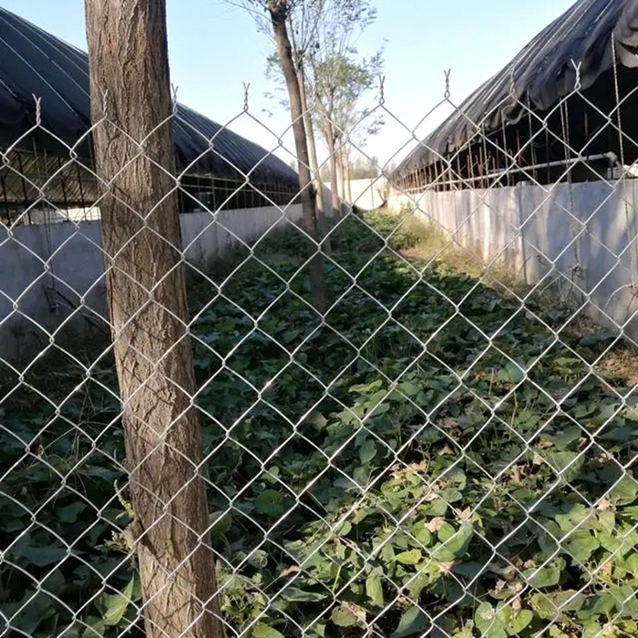Introduction to chain link fence Introduction to chain link fence