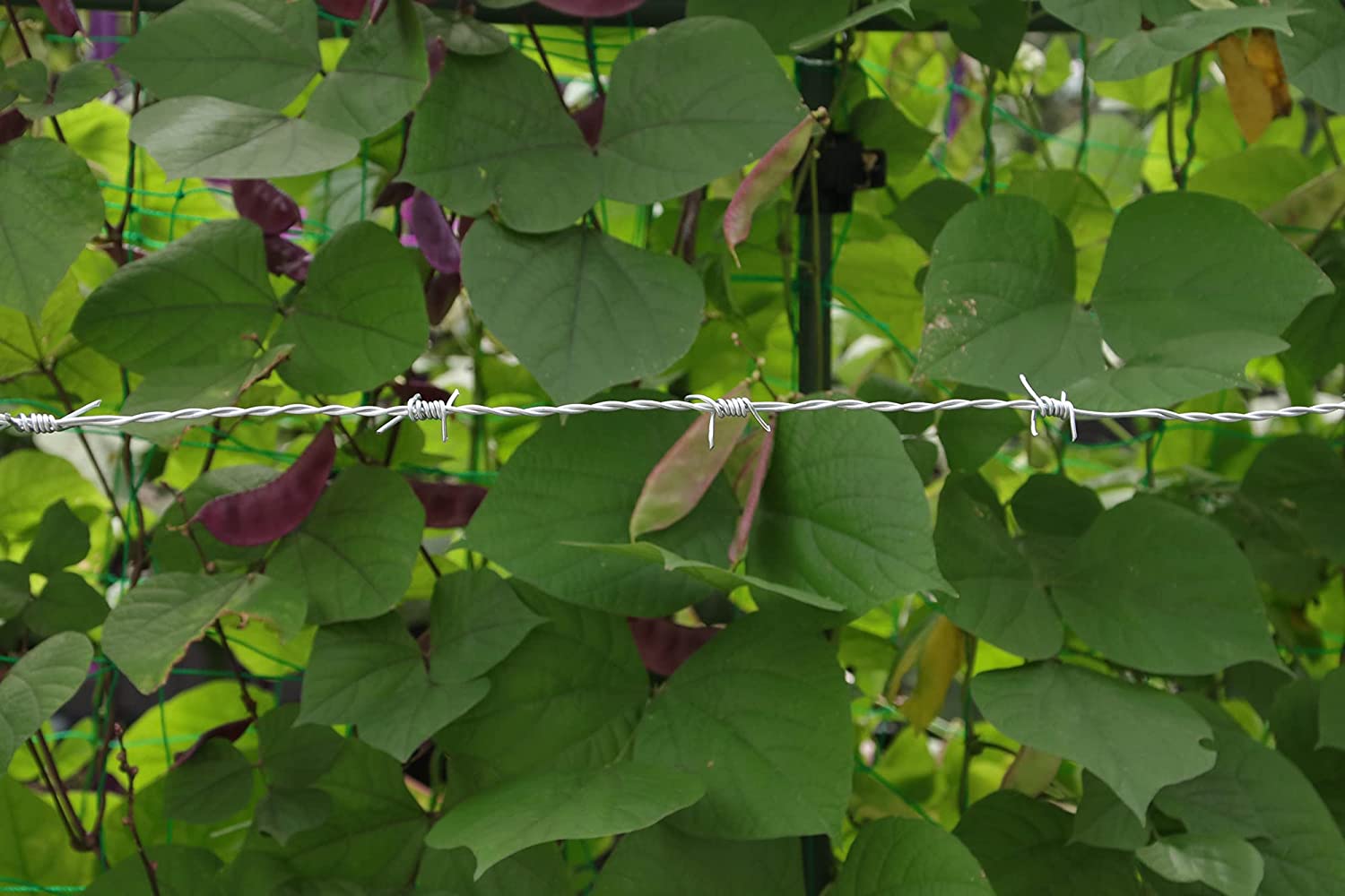 China Barbed Wire Mesh and Wire Mesh Double Twist Barbed Wire