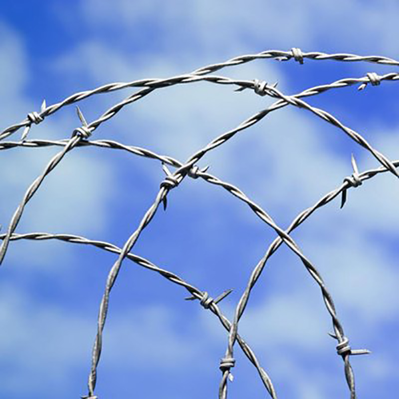 Aquaculture geothermal galvanized double strand barbed wire