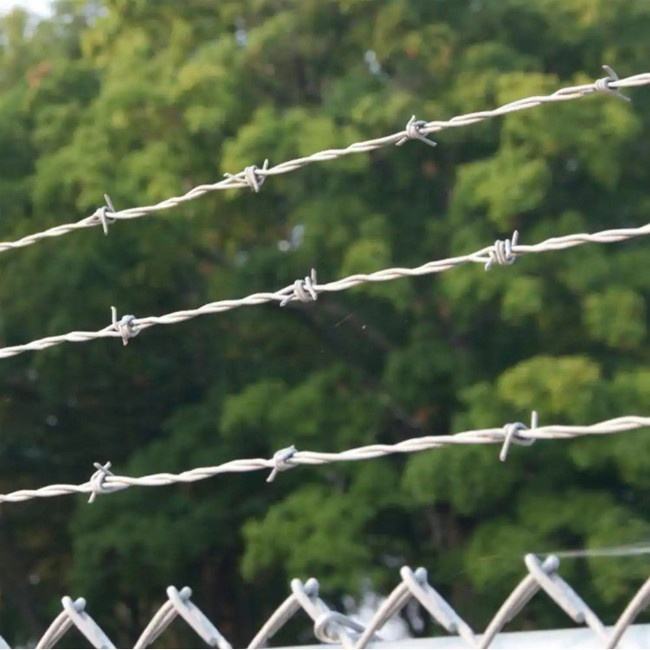 The main 4 functions of barbed wire The main 4 functions of barbed wire