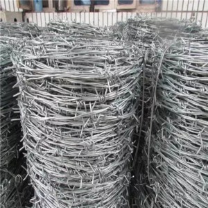 Hot and Cold Galvanizing Barbed Wire Double Strand