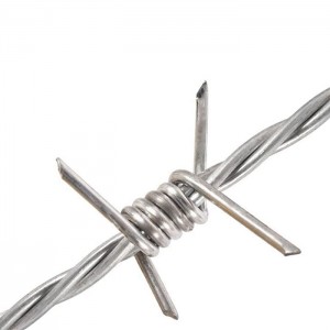 China Barbed Wire Mesh and Wire Mesh Double Twist Barbed Wire