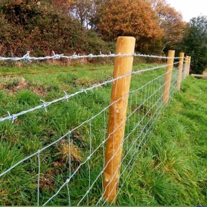 High Security Razor Wire Fencing for Ultimate Protection