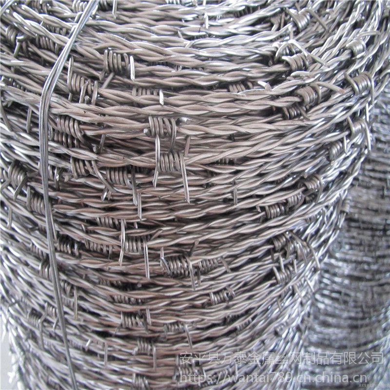 Rust proof encrypted hot dip galvanized double strand barbed wire