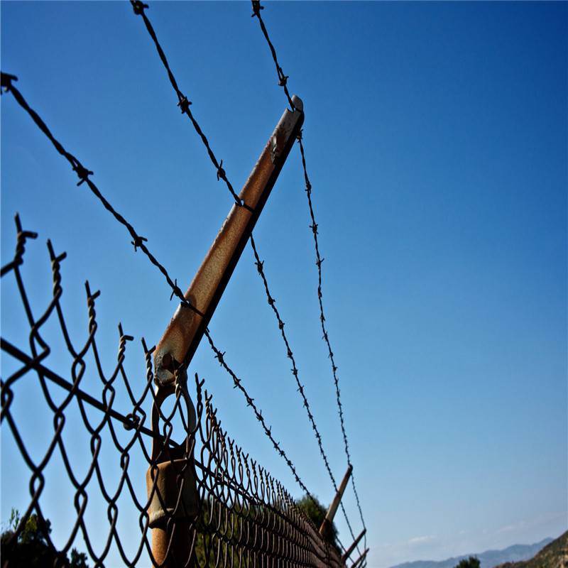 Aquaculture geothermal galvanized double strand barbed wire