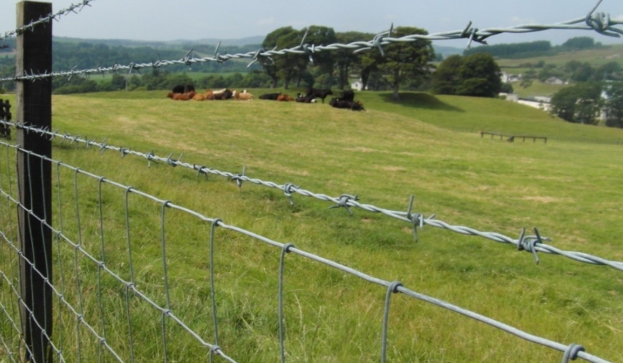Customized barbed wire to create exclusive protection solutions Customized barbed wire to create exclusive protection solutions