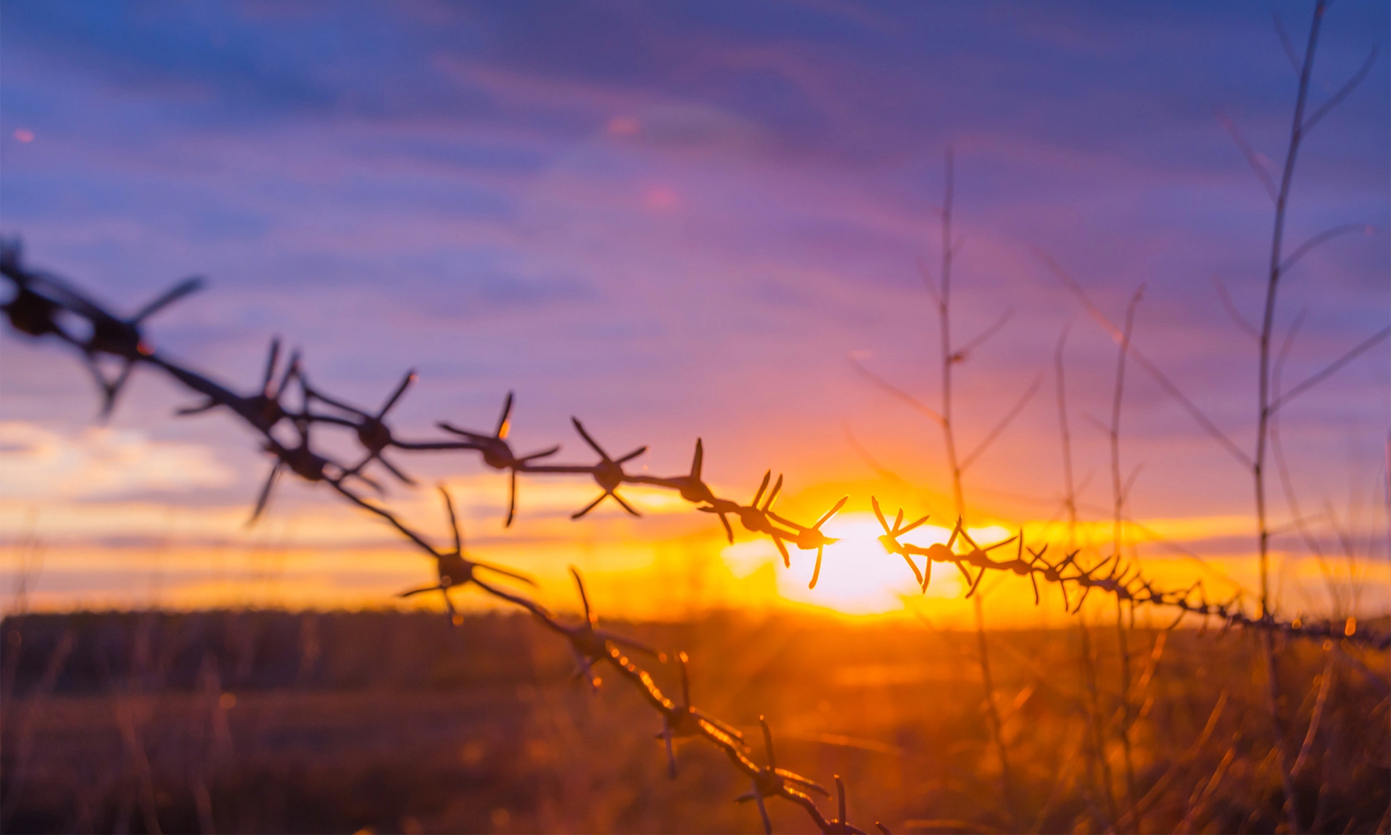 That’s how barbed wire was invented That’s how barbed wire was invented