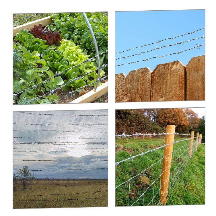 Airport anti-climbing isolation net hot dip galvanized barbed wire