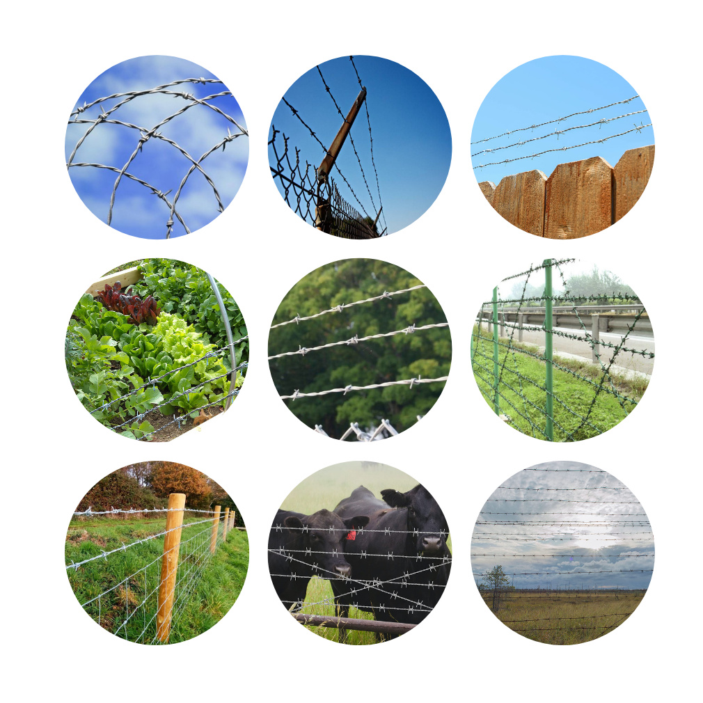 Hot and Cold Galvanizing Barbed Wire Double Strand