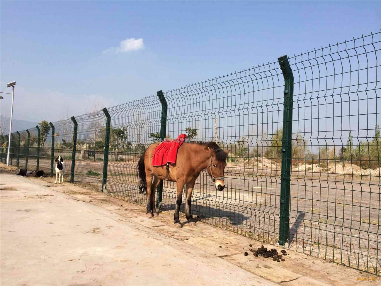 The necessity of breeding fence net The necessity of breeding fence net