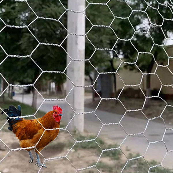 Galvanized Hexagonal Wire mesh for fence farm chicken mesh