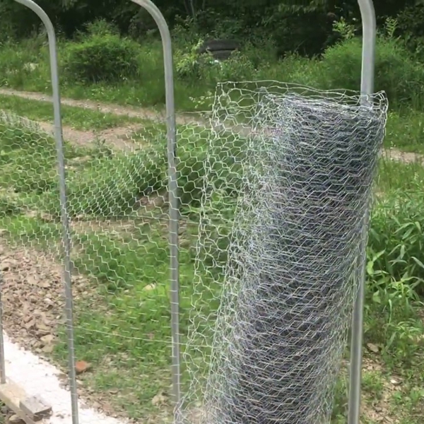Galvanized iron wire fence hexagonal netting small hole chicken wire mesh