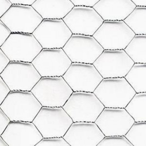 Good flexibility and corrosion resistance hexagonal mesh for chicken wire mesh