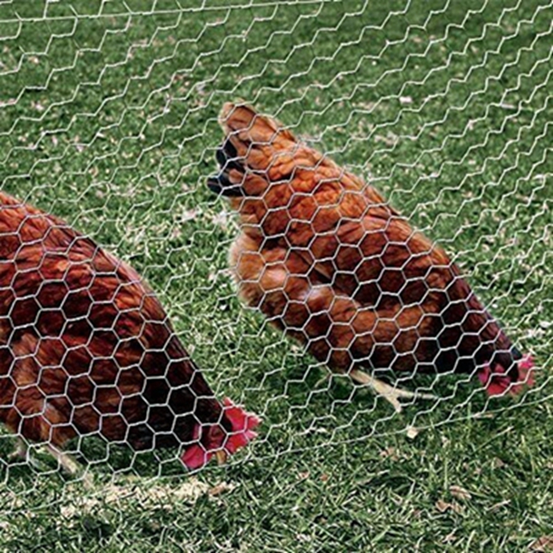 Hexagonal mesh: the perfect fusion of hexagonal aesthetics and practicality Hexagonal mesh: the perfect fusion of hexagonal aesthetics and practicality