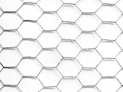 Good flexibility and corrosion resistance hexagonal mesh for chicken wire mesh