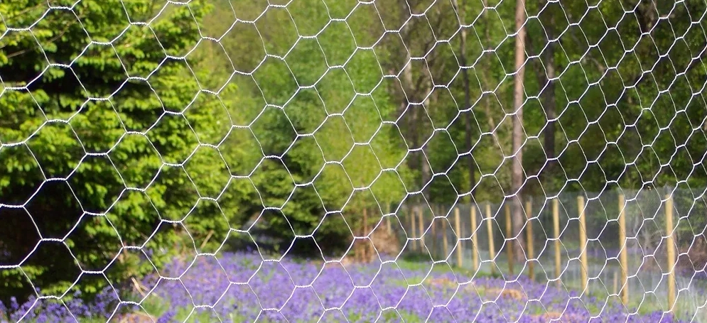 Hexagonal mesh fence: efficient, durable and environmentally friendly breeding fence