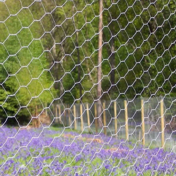 Hexagonal wire fence: the preferred barrier for the breeding industry, strong and durable Hexagonal wire fence: the preferred barrier for the breeding industry, strong and durable