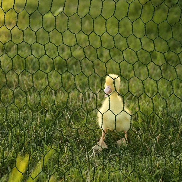 Hexagonal wire fence: the preferred barrier for the breeding industry, strong and durable Hexagonal wire fence: the preferred barrier for the breeding industry, strong and durable