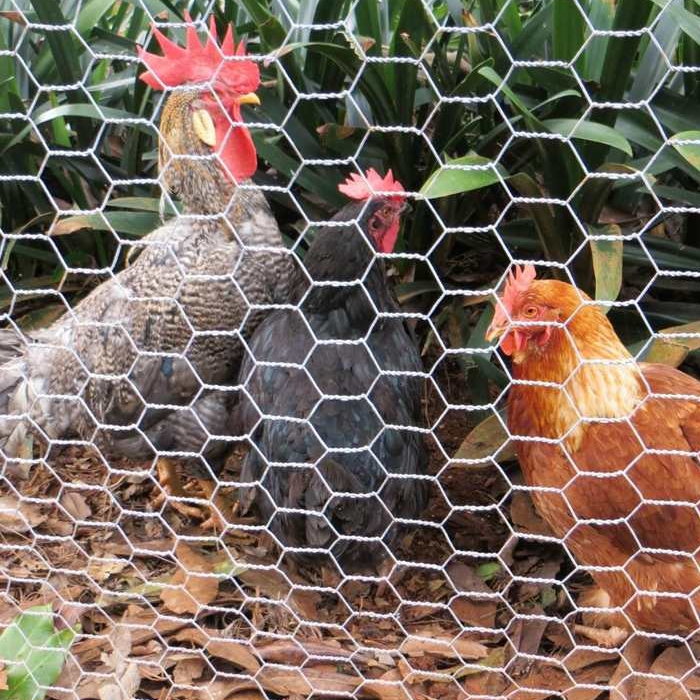 Performance advantages of metal mesh hexagonal mesh Performance advantages of metal mesh hexagonal mesh